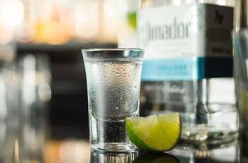 Día Internacional del Tequila: halla la planta de agave azul diferente en menos de 15 segundos