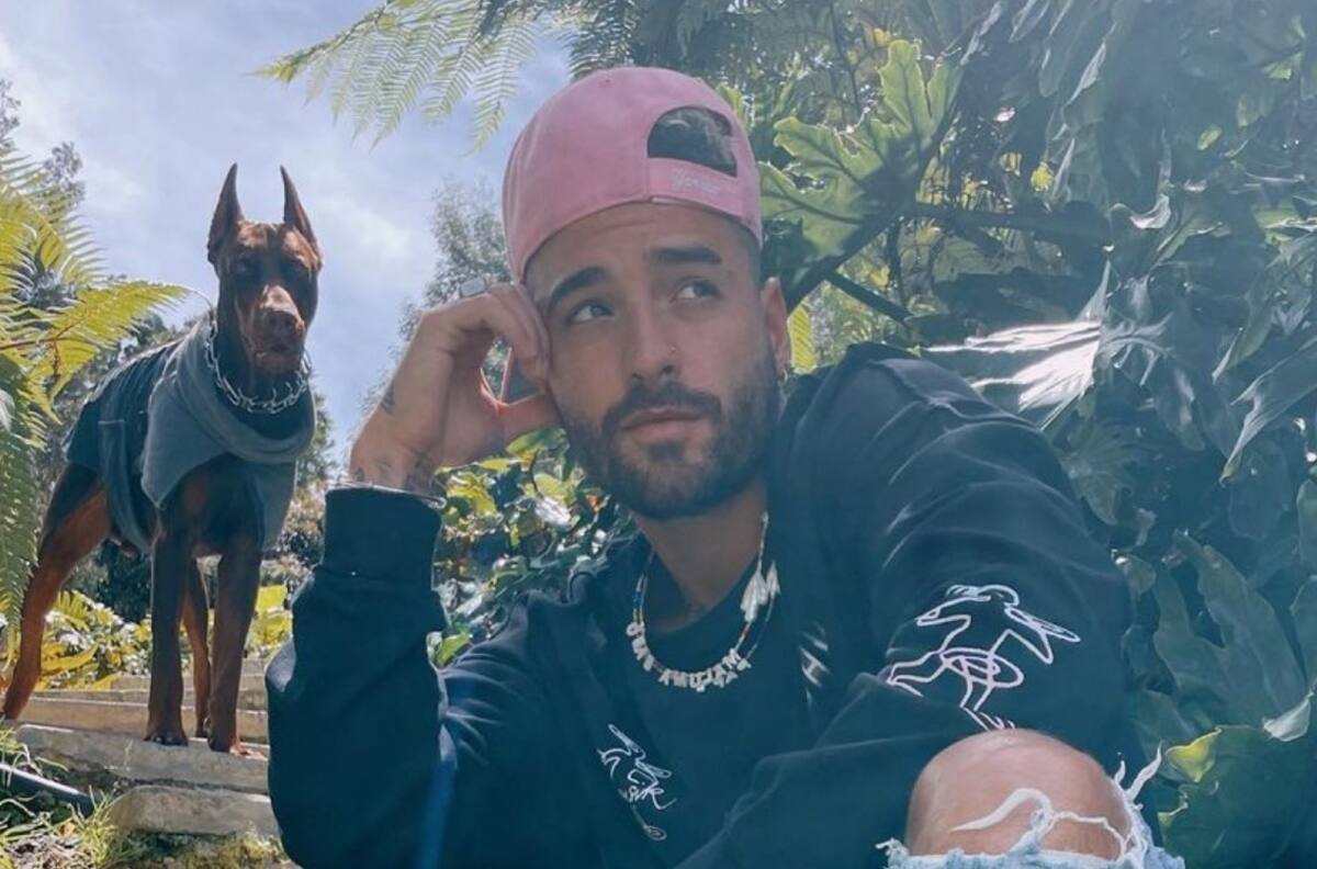 “Tengan mucho cuidado”: Maluma fue atacado por su perro dóberman, ¡en la cara!