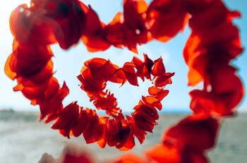 Este signo del Zodiaco tendrá suerte en el amor en junio, ¿es el tuyo el favorecido por los astros?