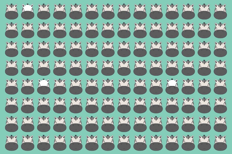 ¿Dónde están las cebras blancas con menos rayas?