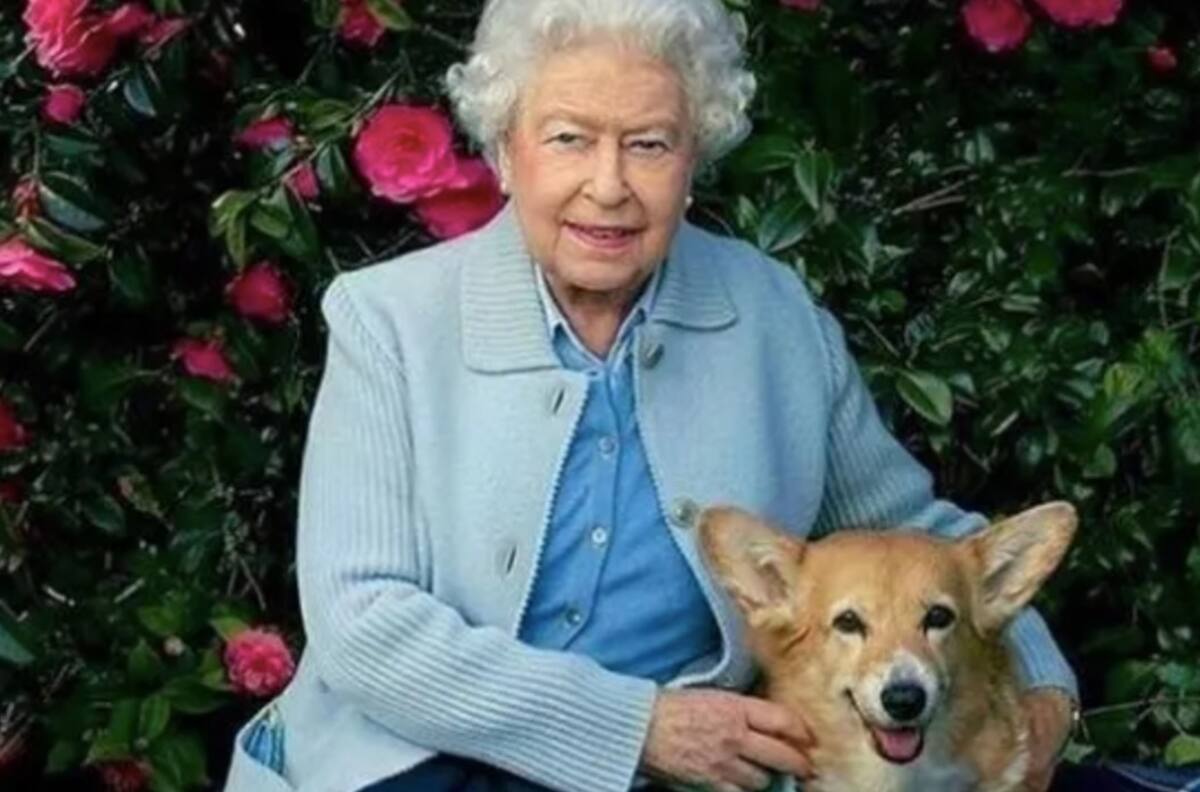 ¿Qué pasará con los corgis de la Reina Isabel? Podrían quedarse con el príncipe Andrés