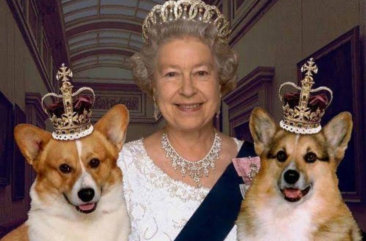 ¡Conoce a "PJ el corgi"! El emoji del Jubileo de Platino de la reina Isabel