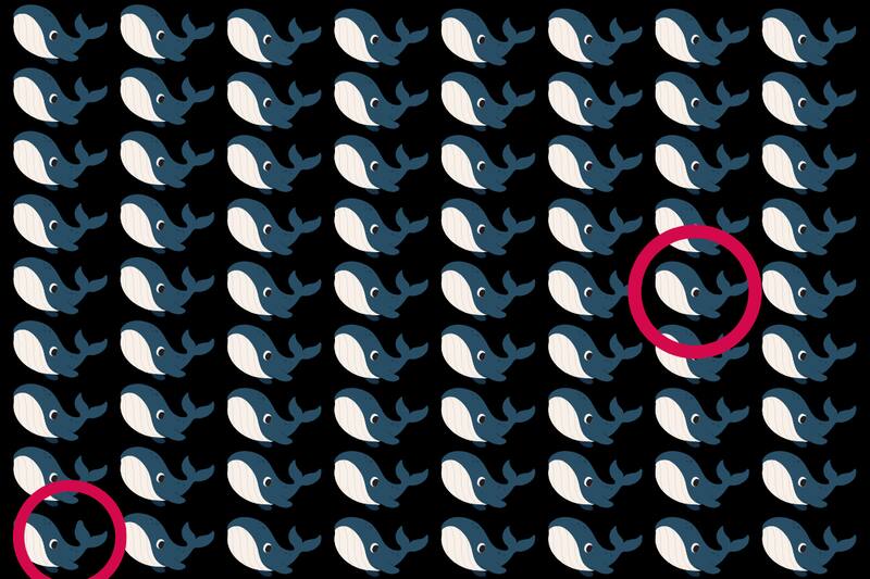 Las diferencias estaban en sus manchas y en la cola.