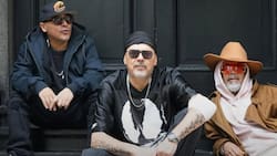 “¿Cuántos creen que no deberíamos cantar más esta canción?”: La Pozze Latina abre intenso debate sobre el futuro de Chica Eléctrica