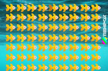 Test visual: encuentra a los 4 peces diferentes en menos de 10 segundos