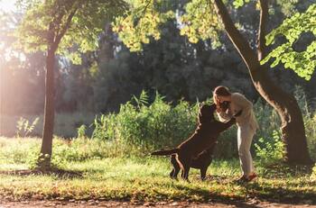 Interpretación de sueños: ¿Te dio ternura? Descubre el significado de soñar con perros