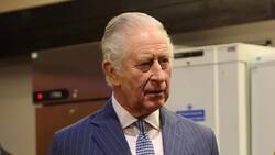 Rey Carlos quiere evitar que Charlotte y Louis crezcan sintiéndose un "repuesto"