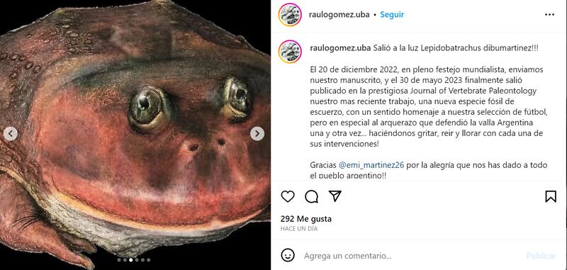 Lepidobatrachus dibumartinez es el fósil que denominaron los paleontólogos Raúl Orencio Gómez y Guillermo Fidel Turazzini.