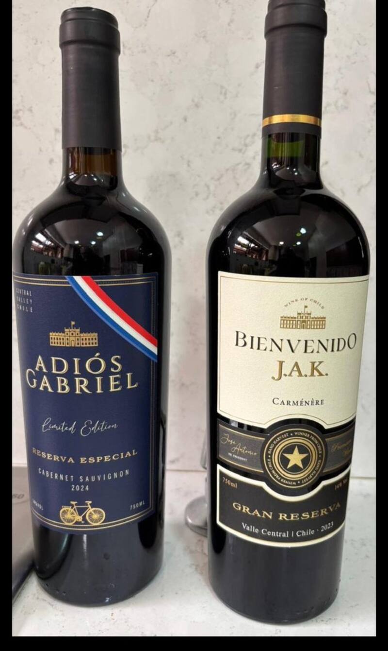 Los memes que marcaron la elección presidencial 2026.