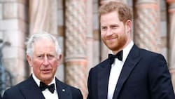 El príncipe Harry habría denunciado a la Familia Real de violar su privacidad