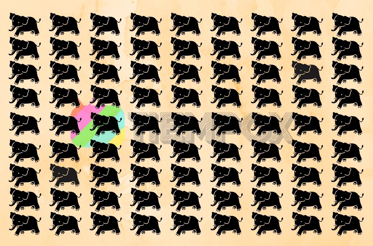 Test Visual: Encuentra el elefante de distinto color en solo 5 segundos