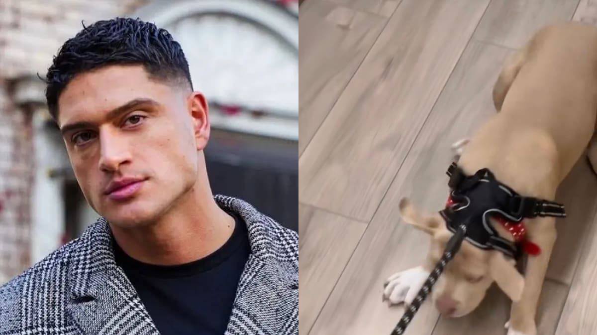 VIDEO | “Eso es maltrato” y “¿Para qué tiene perros?”: Sammis Reyes recibe ola de críticas por trato a su mascota