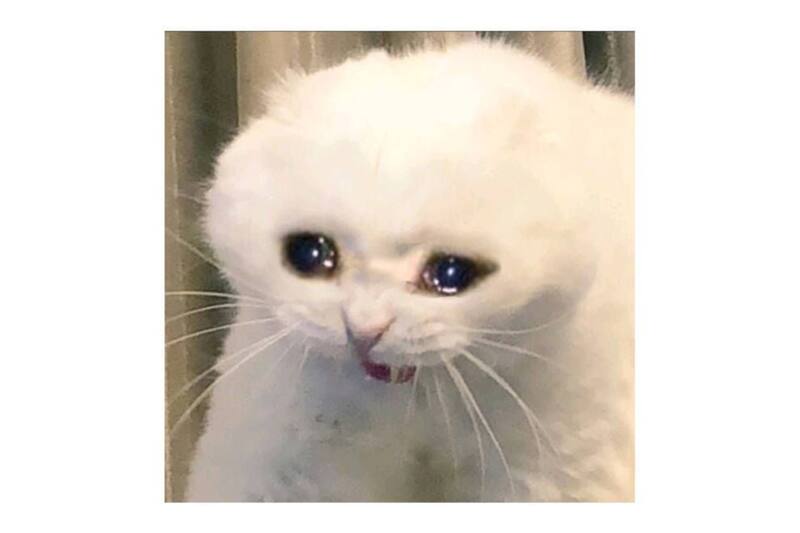 Sentimentales y muy maternales, así son las personas regidas por Cáncer.