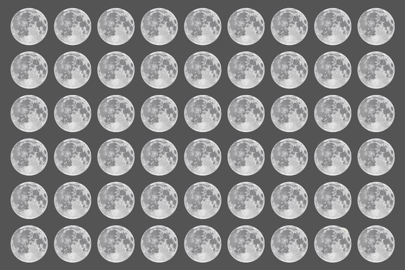 ¿Puedes encontrar al astronauta en 5 segundos?