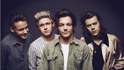 Liam Payne habla de las peleas que hubo en One Direction y enfurece a los fans