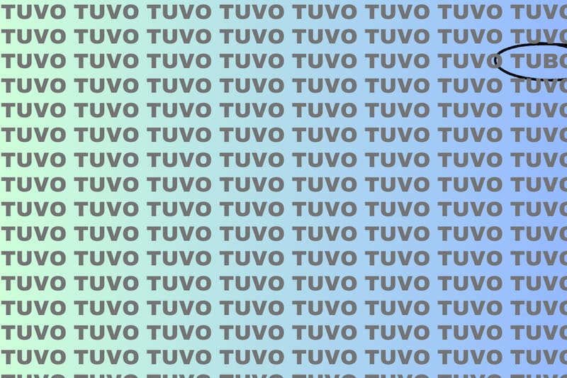 Aquí se encontraba escondida la palabra "tubo".