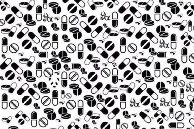 ¿Eres capaz de encontrar al panda en sólo cinco segundos?