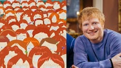 El episodio de "South Park" que le arruinó la vida a Ed Sheeran