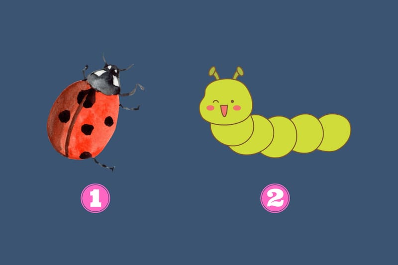 ¿Qué dice de ti el animal que prefieras hoy?