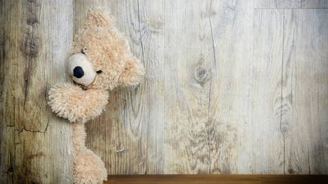 Acertijo Visual: ¿Puedes encontrar al oso sin gorro en la imagen?