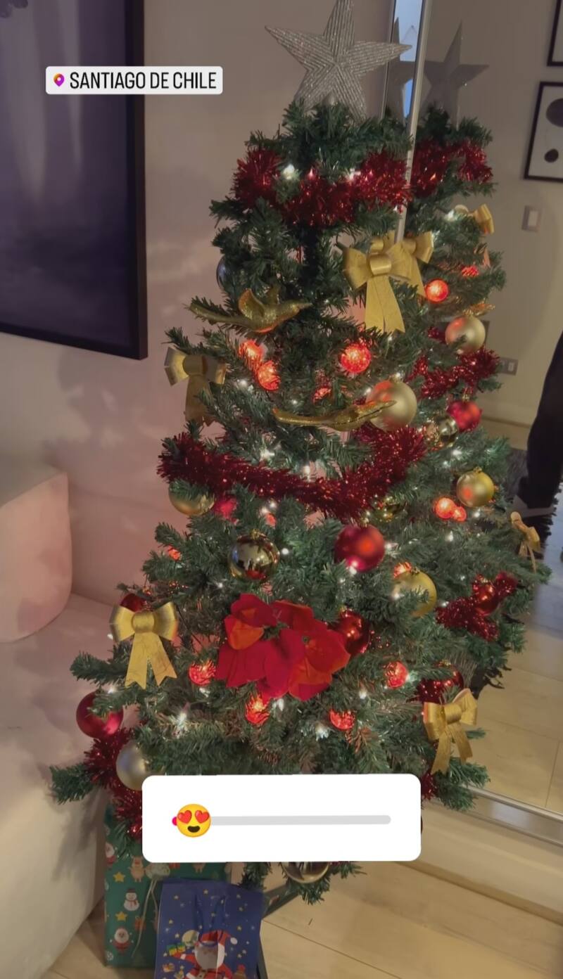 Créditos: Instagram