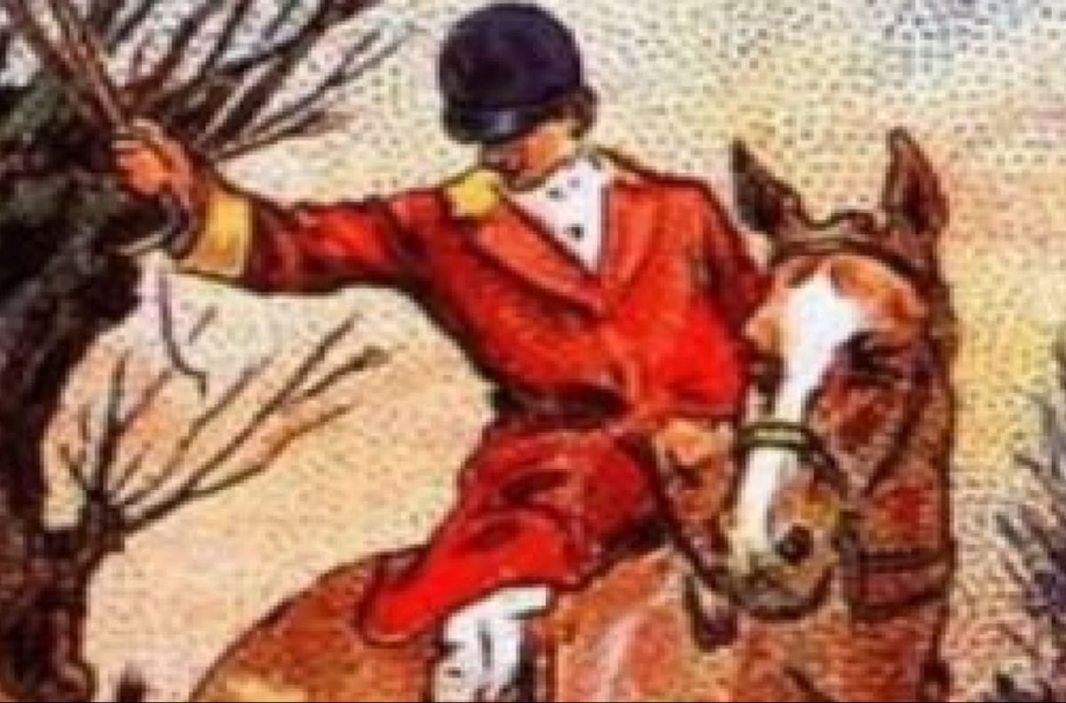 Acertijo visual: Encuentra al zorro que está escondido en la imagen, solo tienes 10 segundos