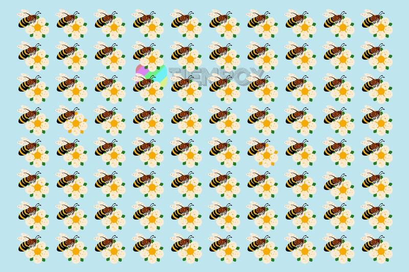 Test Visual Encuentra las flores que no son iguales al resto en el menor tiempo posible. - Créditos: Tiempox.com