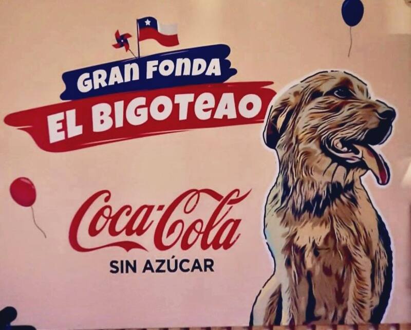 El lema de la fonda de "Gran Hermano" Chile.