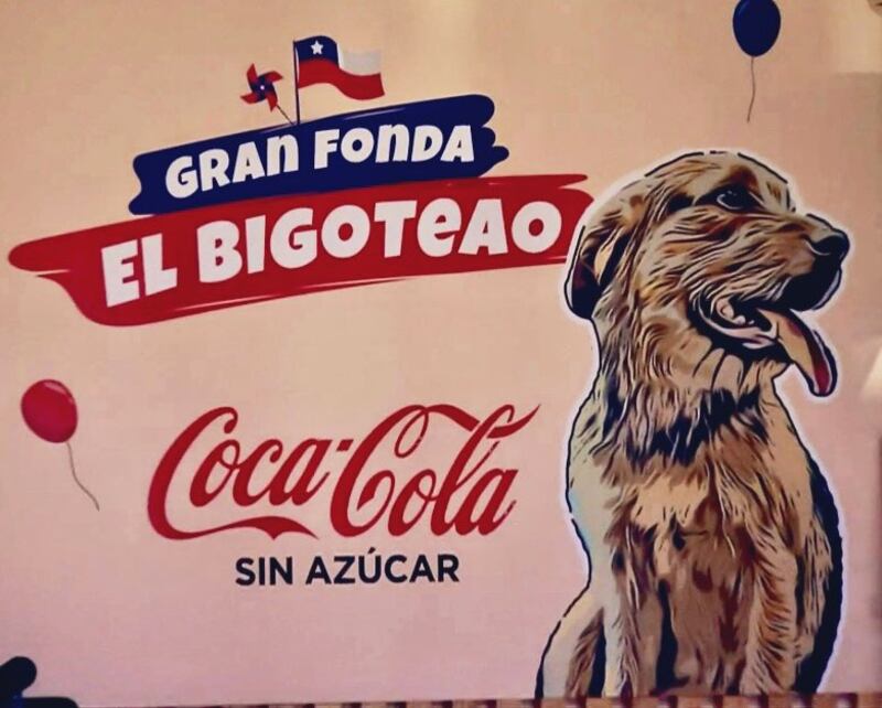Fonda "Gran Hermano" Chile