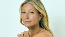 Viajes, gadgets y bolsas para heces en la excéntrica lista de regalos de Navidad de Gwyneth Paltrow