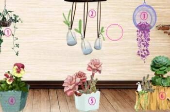 Test de personalidad: Elige una planta y descubre qué le molesta a los demás de ti