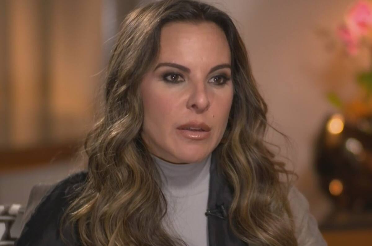 Kate del Castillo de luto tras lamentable pérdida: “Mi compañera durante 16 años murió”