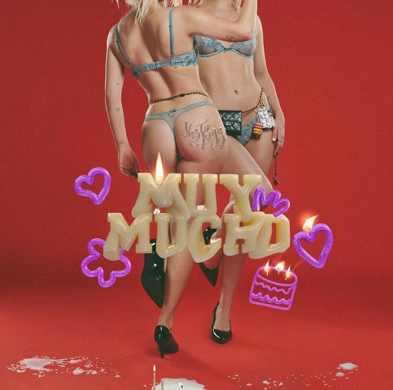 Vesta Lugg reveló que la portada de su disco la inspiró su paso por la Gala del Festival de Viña 2023.