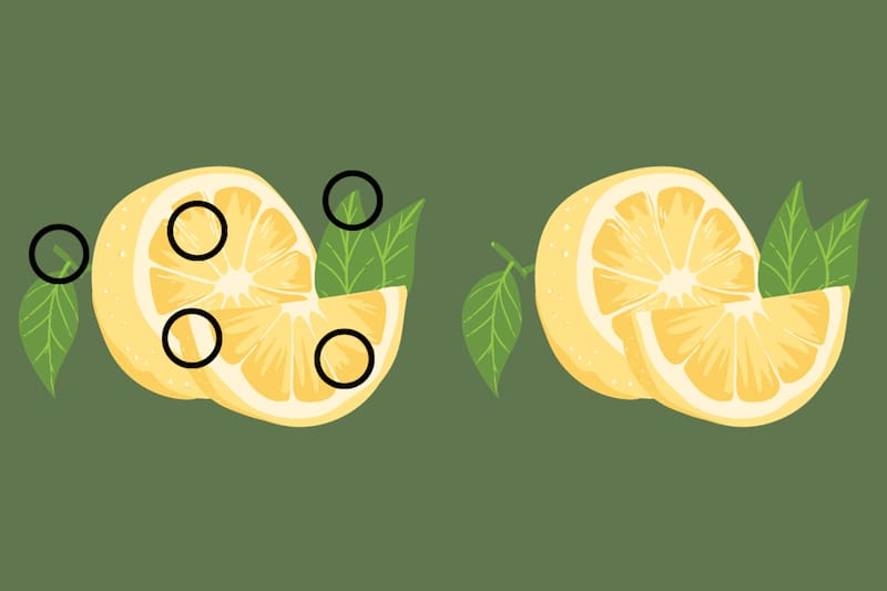 ¡Estas eran las diferencias entre los limones!