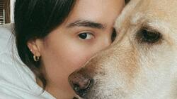 Sharon Fonseca capta el estado de ánimo de su perro tras la visita al veterinario