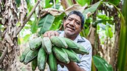 Conoce la Carta Astral de Colombia según la Astrología