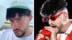 VIDEO: Imitador chileno Stefan Kramer se lució personificando a Bad Bunny ante la mirada de Don Francisco