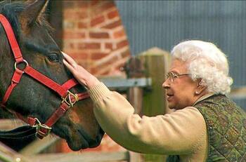 ¿Quién se quedará los amados caballos de la Reina Isabel II? El pueblo tiene a su candidata