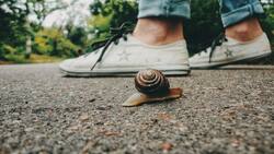 ¿Cuáles son los signos zodiacales más lentos?