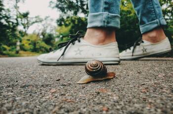 ¿Cuáles son los signos zodiacales más lentos?