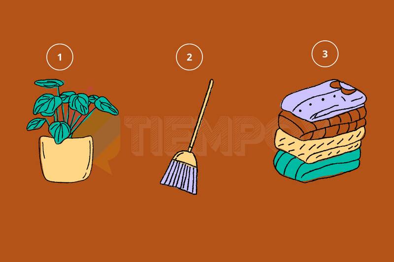 Test de Personalidad Descubre qué es lo que necesitas para tener el éxito que tanto anhelas. - Créditos: tiempox.com