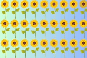Test Visual: ¿Eres capaz de encontrar el girasol diferente?