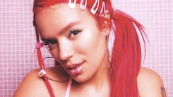 "X si volvemos": conoce el adelanto de la nueva canción de Karol G y Romeo Santos