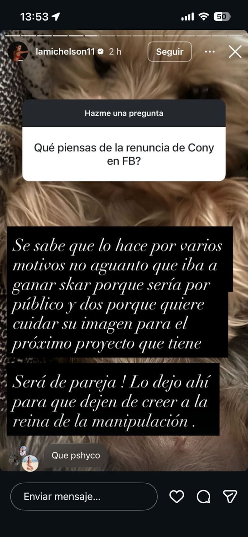 La historia publicada a través de su Instagram.
Foto: Instagram @lamichelson11