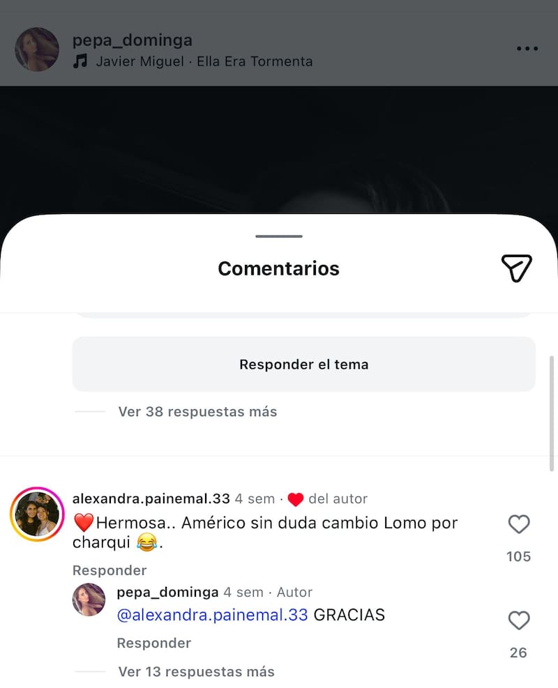 Post de Instagram.
Foto: Instagram @pepa_dominga