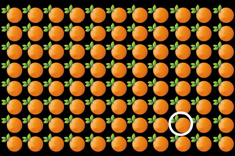 ¡Acá estaba la mandarina!