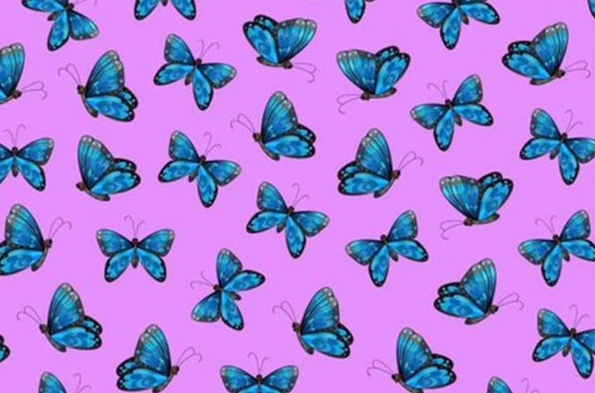 Acertijo visual: Identifica la mariposa sin antenas en tan sólo 20 segundos