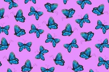 Acertijo visual: Identifica la mariposa sin antenas en tan sólo 20 segundos