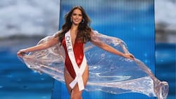 Celeste Viel logró quedarse en el top 20 del Miss Universo 2023
