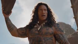 ¡Se viene el panorama familiar del año! Primer vistazo a La Roca en el nuevo tráiler oficial de Moana